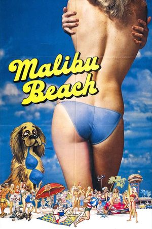 Malibu Beach's poster