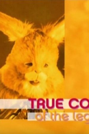 True Confessions of the Legendary Figures's poster