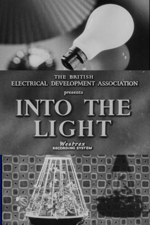 Into the Light's poster
