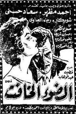 The Dim Light's poster
