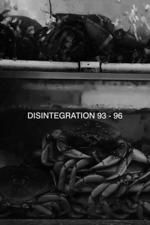 Disintegration 93-96's poster