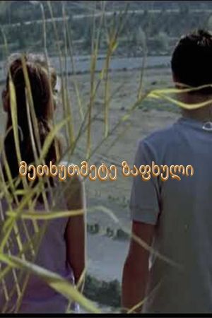 Fifteenth summer's poster