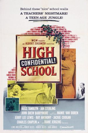 High School Confidential!'s poster