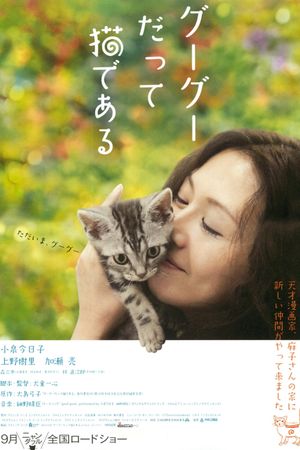 Gou Gou, the Cat's poster