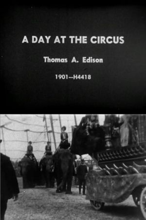 Day at the Circus's poster