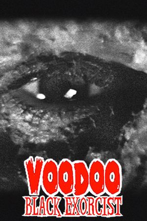 Voodoo Black Exorcist's poster