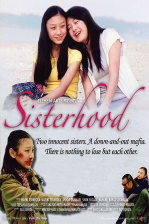 Sisterhood's poster image