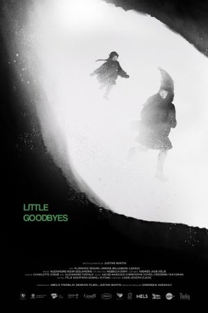 Little Goodbyes's poster