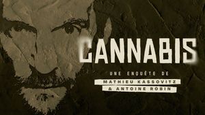 Cannabis : Une enquête de Mathieu Kassovitz et Antoine Robin's poster