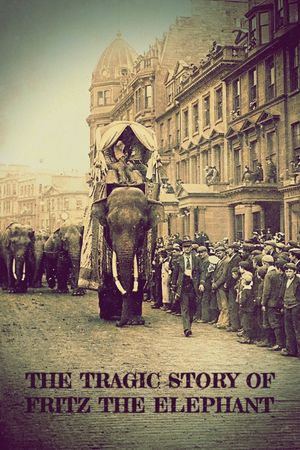 The Tragic Story of Fritz the Elephant's poster