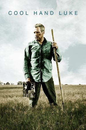 Cool Hand Luke's poster