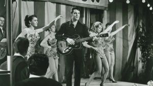 Roustabout's poster