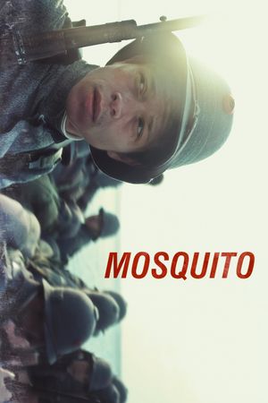 Mosquito's poster