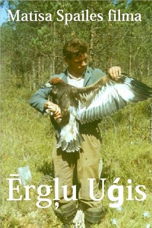 Eagle Man's poster image