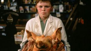 The Butcher Boy's poster