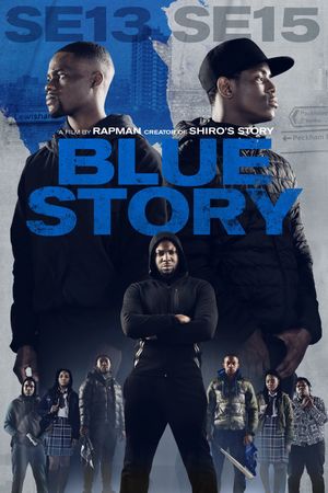 Blue Story's poster image