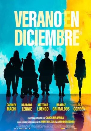 Verano en diciembre's poster