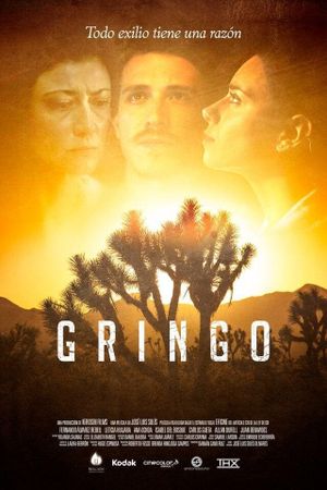 Gringo's poster