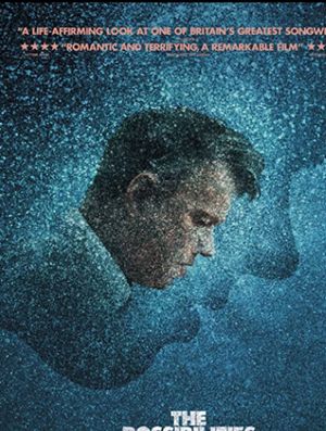 The Possibilities Are Endless's poster