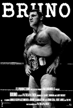 Bruno Sammartino's poster