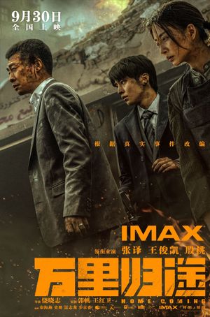 Home Coming's poster