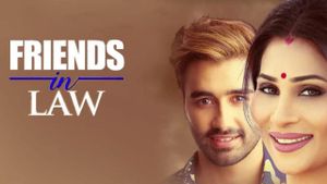 Friends in Law's poster