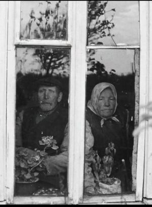 The Dreams of the Centenarians's poster