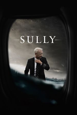 Sully's poster