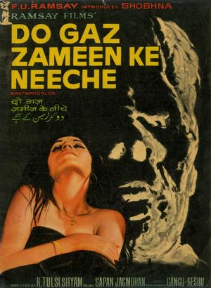 Do Gaz Zameen Ke Neeche's poster image