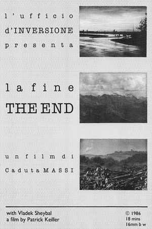 La fine – The End's poster