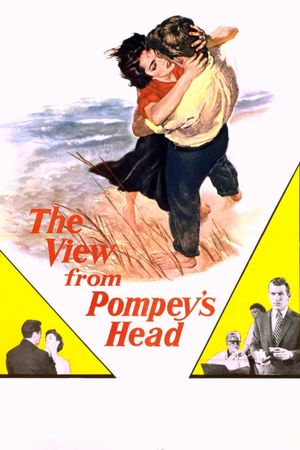 The View from Pompey's Head's poster