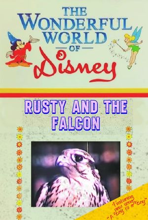Rusty and the Falcon's poster