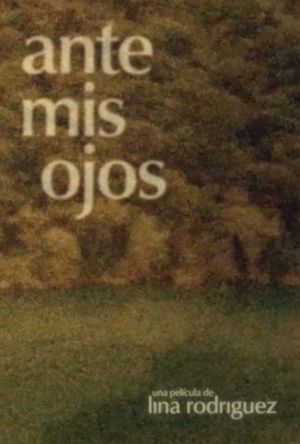 Ante mis ojos's poster