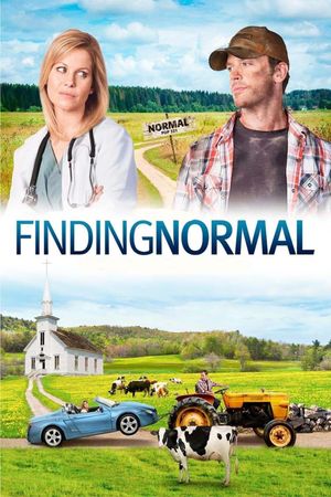 Finding Normal's poster
