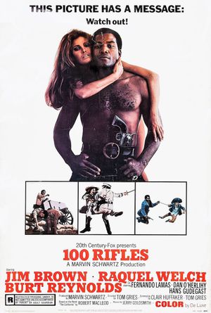 100 Rifles's poster