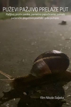 Snails Steadily Stroll the Street's poster