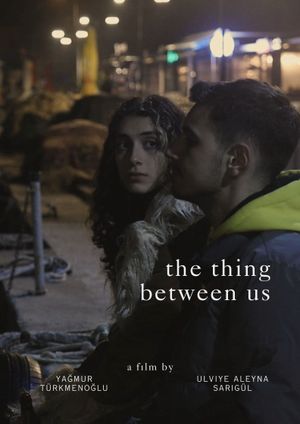 The Thing Between Us's poster image