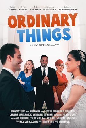 Ordinary Things's poster