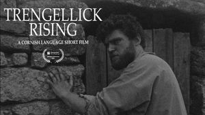 Trengellick Rising's poster