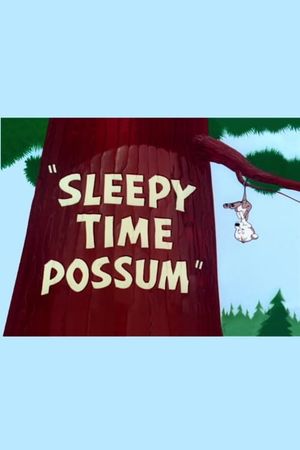Sleepy Time Possum's poster