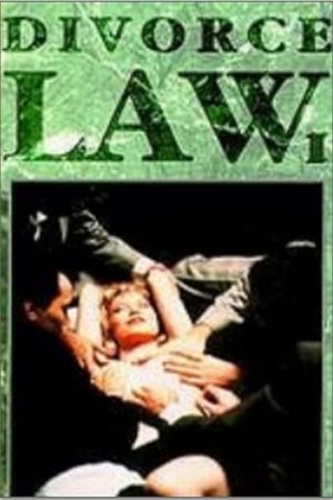 Divorce Law's poster