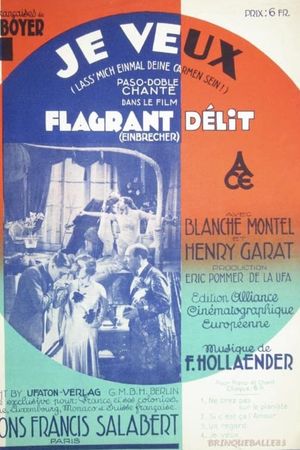 Flagrant délit's poster