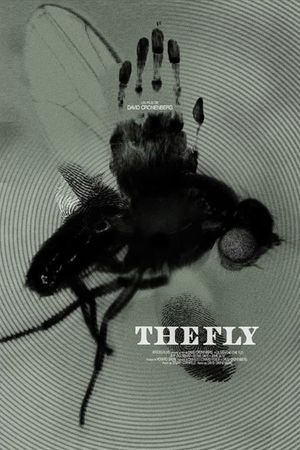 The Fly's poster