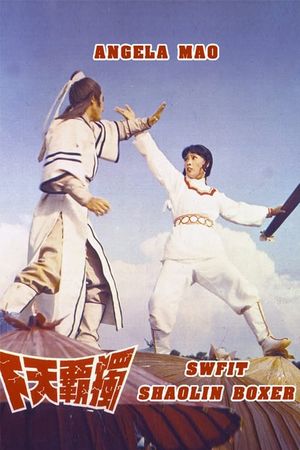 Swift Shaolin Boxer's poster