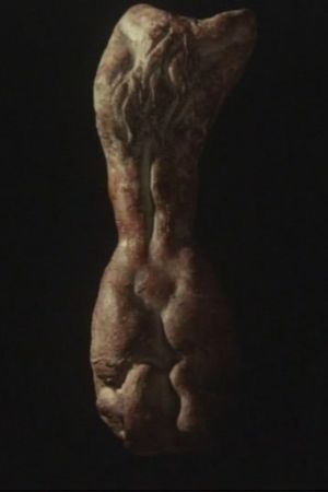 Soil's poster