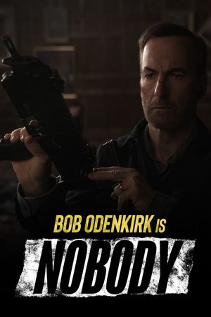 Nobody's poster