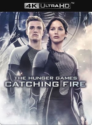 The Hunger Games: Catching Fire's poster