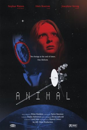 Animal's poster