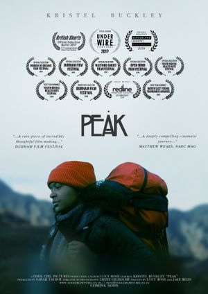 Peak's poster