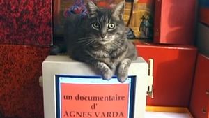 Tribute to Zgougou the Cat's poster
